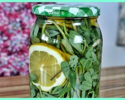 Semizlik Turşusu Tarifi