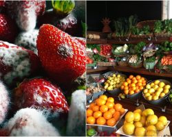 Sebze ve Meyvelerin Raf Ömrünü Uzatmak İçin Neler Yapılıyor?