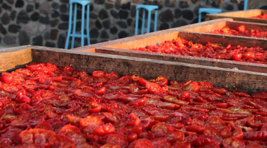 Domates nasıl kurutulur? Domates kuruturken dikkat etmeniz gereken 8 püf nokta...