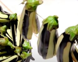 Patlıcan nasıl kurutulur? Yemeklik, kızartmalık, dolmalık patlıcan kurutma yöntemleri, püf noktaları