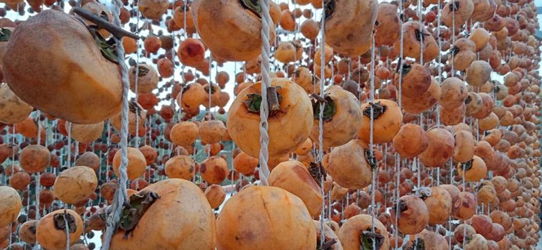Cennet (Trabzon) hurması nasıl kurutulur? 2 farklı pratik kurutma yöntemi