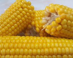 5 dakikada hazır oluyor! Zahmetsiz haşlanmış mısır tarifinin tüm detayları…