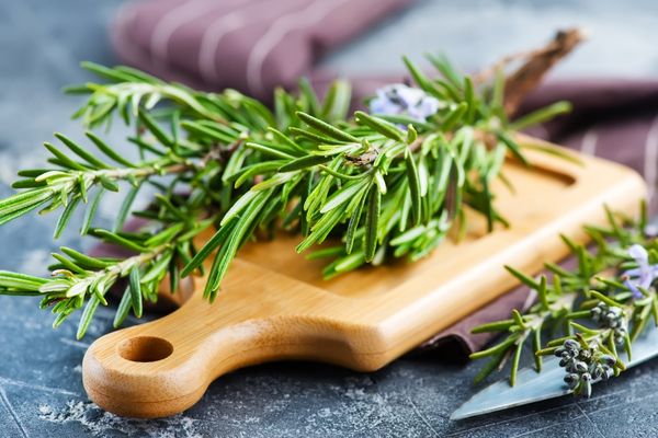 biberiye çayı fiyat