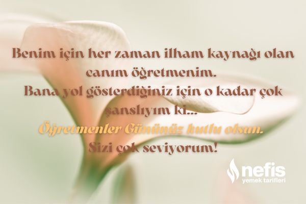 öğretmenler günü mesajları