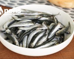 Resimli: Evde Hamsi En Hızlı Nasıl Temizlenir?