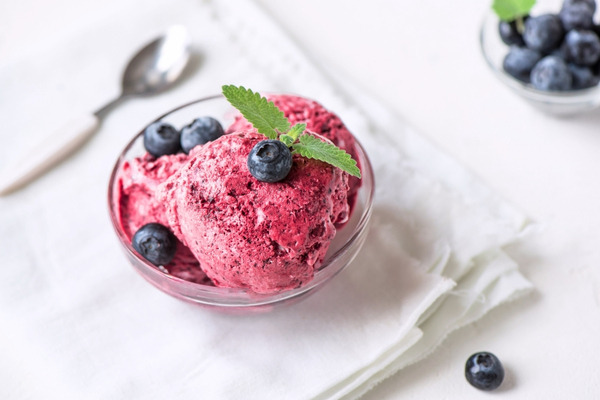 yaban mersini dondurma