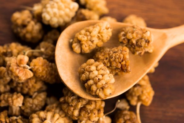 dut kurusu neye iyi gelir