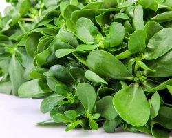 Semizotu Faydaları: Neye İyi Gelir, Ne İşe Yarar?