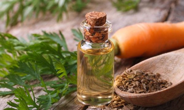 Havuç Yağı Faydaları, Nasıl Yapılır? Ne İşe Yarar? Bronzlaştırır Mı?