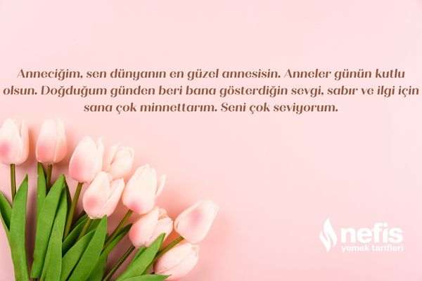 anneler günü mesajları
