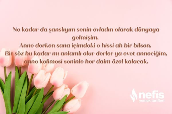 anneler günü mesajları