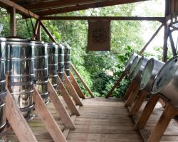 Son Zamanlarda Sosyal Medyada Sıkça Duyduğumuz Anaerobik Kahve Nedir?