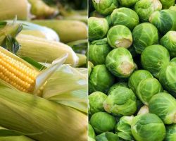 Diyet Yaparken Sizi Daha Uzun Süre Tok Tutacak Protein İçeren 9 Sebze