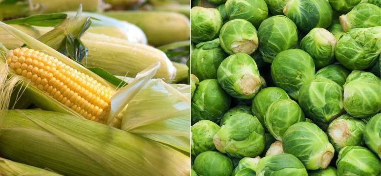 Diyet Yaparken Sizi Daha Uzun Süre Tok Tutacak Protein İçeren 9 Sebze