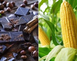 Bağışıklık Sistemi İçin Olmazsa Olmaz Bir Mineral: Çinko Hangi Besinlerde Bulunur?