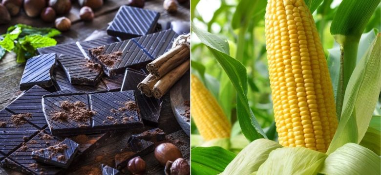 Bağışıklık Sistemi İçin Olmazsa Olmaz Bir Mineral: Çinko Hangi Besinlerde Bulunur?