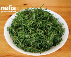 Madımak Otu Nedir? Faydaları Nelerdir, Neye İyi Gelir?