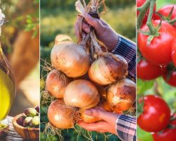 Aslında Yanlış Yapıyoruz! Buzdolabına Konulmaması Gereken 12 Yiyecek