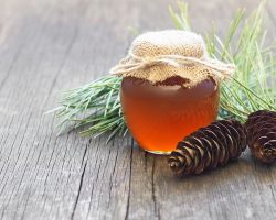 Çam Balının Faydaları Nelerdir? Neye İyi Gelir?