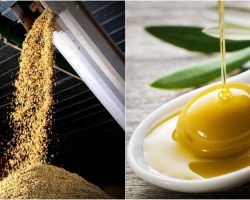 Son Dönemde Gündemden Düşmeyen Pirina Yağı Nedir, Faydaları Ve Zararları Nelerdir?