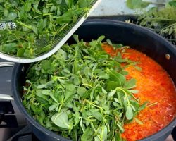 Bu Yemeği Çok Seveceksiniz: Semizotu Yemeği Tarifi