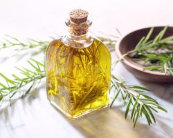 Yağdanlık Nasıl Temizlenir? En Kullanışlı Yağdanlık Modelleri