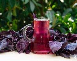 Şifa Deposu! Faydaları Saymakla Bitmeyen Reyhan Şerbeti Nasıl Yapılır?