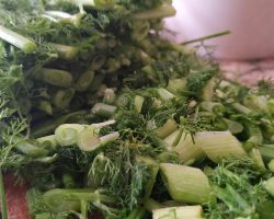 Her tabağı şifa deposu… Yabani rezene otundan yemek tarifleri