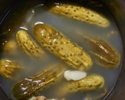 Salatalık turşusu tarifi: Salatalık turşusu nasıl yapılır?