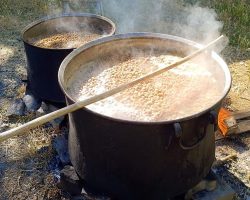 Dutun şifa yolculuğu başladı: Tunceli’de pekmez kazanları kuruldu