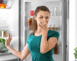 Buzdolabı Kokusu Nasıl Giderilir? Doğal Çözümler