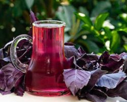 Cildi ayna gibi parlatıyor! Limondan 2 kat C vitamini deposu: İşte Reyhan Şerbeti tarifi