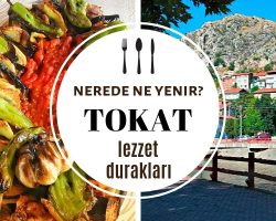 Tokat’ta Ne Yenir, Nesi Meşhur? En İyi Restoranlar, Gezilecek Yerler