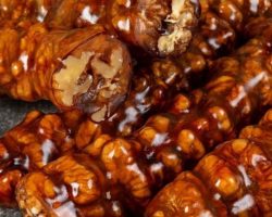 Geleneksel tatlar arayanlara özel köy usulü cevizli sucuk yapımı