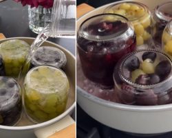 Kavanoz kavanoz lezzet! Ev yapımı üzüm kompostosu konservesi (Üzüm hoşafı) tarifi, nasıl yapılır?